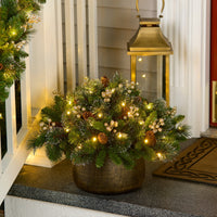 18 in. Crestwood Gold Spruce Urn Filler with LED Lights - National Tree Company