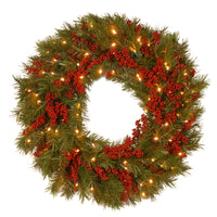 24 in. Pre-Lit Valley Pine Wreath with Warm White LED Lights - National Tree Company