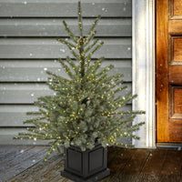 4 ft.Pre-Lit Aberdeen Blue Spruce Tree - National Tree Company