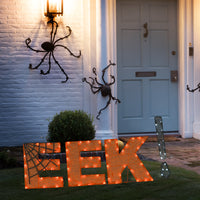 Halloween Pre-Lit EEK! Outdoor Sign, LED Lights, 50 Inches - National Tree Company