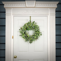 Artificial Wreath Decoration, Green, Woven Branch Base, Decorated with Eucalyptus Leaves, Flowing Green Stems, Spring Collection, 22 Inches - National Tree Company