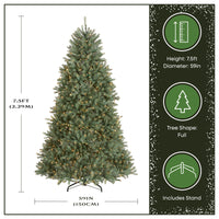 7.5 ft. Pre-Lit Dunhill Fir Blue Tree with Clear Lights - National Tree Company