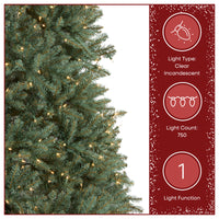 7.5 ft. Pre-Lit Dunhill Fir Blue Tree with Clear Lights - National Tree Company