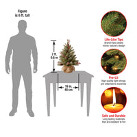 2 ft. Pre-Lit Dunhill Fir Tree with LED Lights - National Tree Company