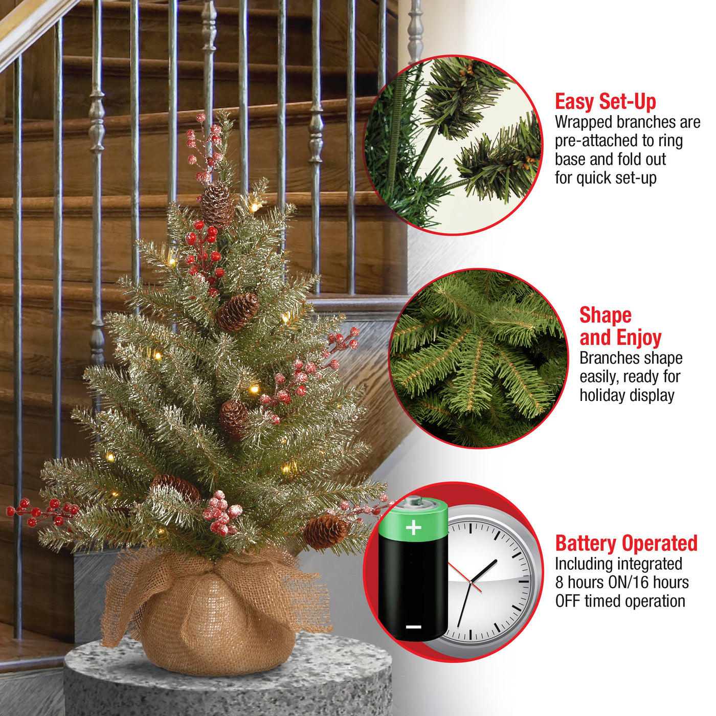 2 ft. Pre-Lit Dunhill Fir Tree with LED Lights - National Tree Company