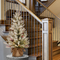 3 ft. Pre-Lit Dunhill Fir Tree with Warm White LED Lights - National Tree Company
