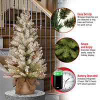 3 ft. Pre-Lit Dunhill Fir Tree with Warm White LED Lights - National Tree Company