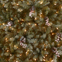 7 ft. Pre-Lit Dunhill Fir Tree with 700 Clear Lights - National Tree Company