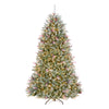 7.5 ft. Pre-Lit Dunhill Fir Flocked Tree with 750 Clear Lights - National Tree Company
