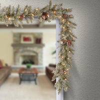 9 ft. Pre-Lit Dunhill Fir Garland with Clear Lights - National Tree Company