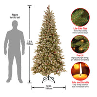 7.5 ft. Pre-Lit Dunhill Fir Slim Tree with Clear Lights - National Tree Company