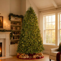 10 ft. Pre-Lit Dunhill Fir Hinged Tree with Clear Lights, Plug-In - National Tree Company