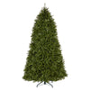 10 ft. Pre-Lit Dunhill Fir Hinged Tree with Clear Lights, Plug-In - National Tree Company