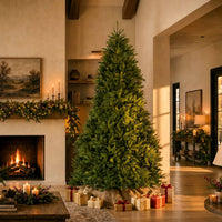 10 ft. Dunhill Fir Hinged Tree - National Tree Company