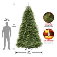 10 ft. Dunhill Fir Tree - National Tree Company