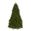 10 ft. Dunhill Fir Hinged Tree - National Tree Company