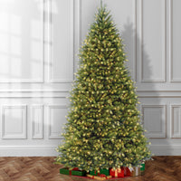 12 ft.Pre-Lit Dunhill Fir Tree with Clear Lights - National Tree Company