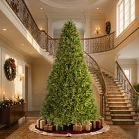 12 ft. Pre-Lit Dunhill Fir Tree with Clear Lights, Plug-In - National Tree Company