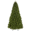 12 ft. Pre-Lit Dunhill Fir Tree with Clear Lights, Plug-In - National Tree Company
