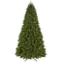 12 ft. Pre-Lit Dunhill Fir Tree with Clear Lights, Plug-In - National Tree Company