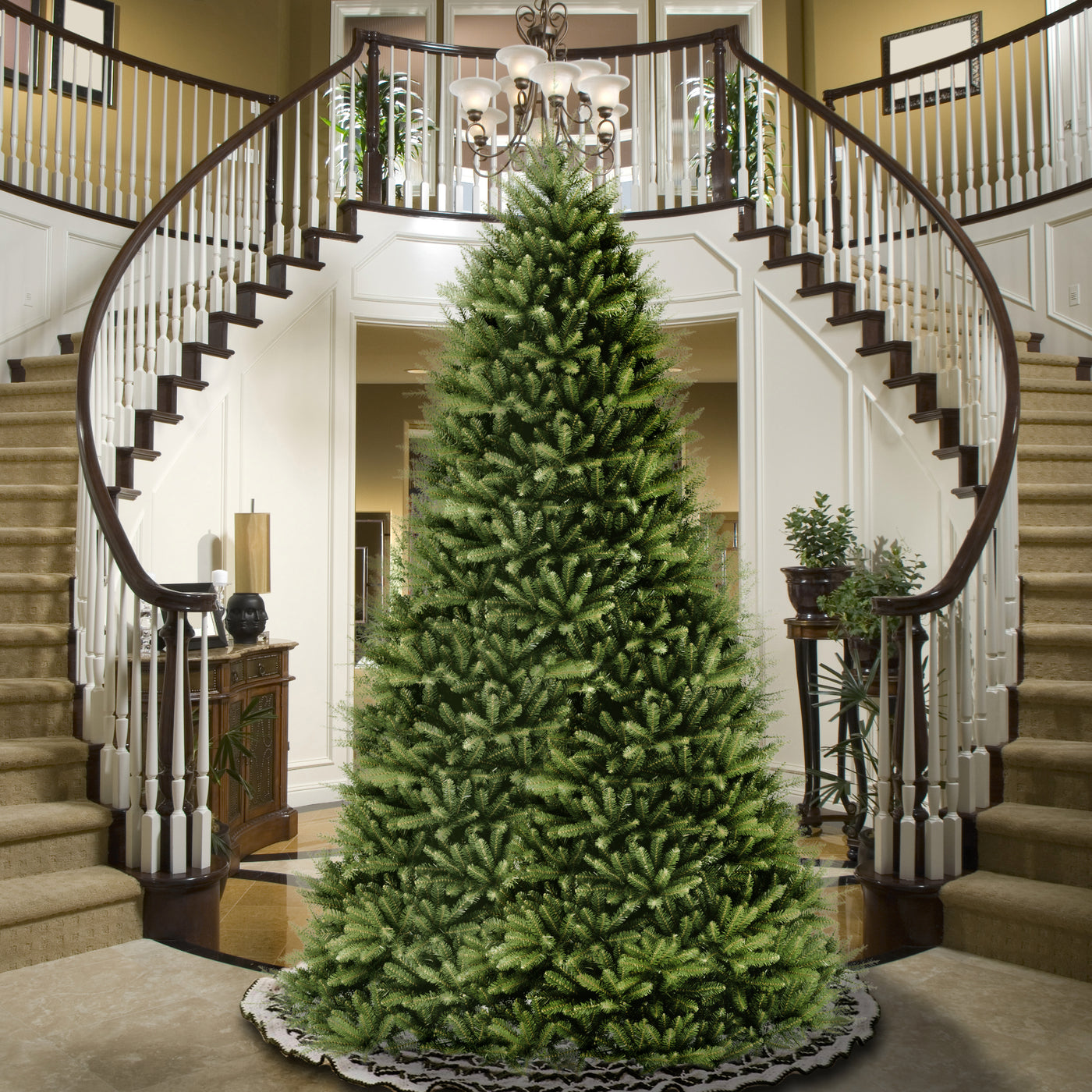 12 ft.Dunhill Fir Tree - National Tree Company