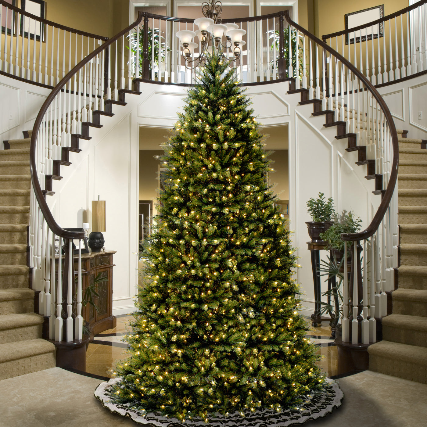 14 ft.Dunhill Fir Tree - National Tree Company