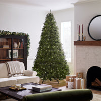 9ft. Pre-Lit Dunhill Fir Tree with Dual Color LED Lights - National Tree Company