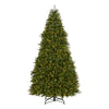 10 ft. Pre-Lit Dunhill Fir Tree with Dual Color LED Lights - National Tree Company