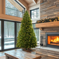 10 ft. Pre-Lit Dunhill Fir Tree with Dual Color LED Lights - National Tree Company