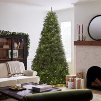 10ft. Pre-Lit Dunhill Fir Tree with Dual Color LED Lights - National Tree Company