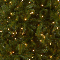 10ft. Pre-Lit Dunhill Fir Tree with Dual Color LED Lights - National Tree Company