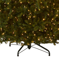 10ft. Pre-Lit Dunhill Fir Tree with Dual Color LED Lights - National Tree Company