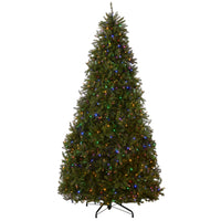 10ft. Pre-Lit Dunhill Fir Tree with Dual Color LED Lights - National Tree Company