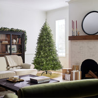 7.5 ft. Pre-Lit Dunhill Fir Tree with Dual Color LED Lights - National Tree Company