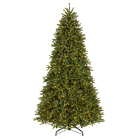 10 ft. Pre-Lit Northvale Fir with Warm White LED Lights - National Tree Company