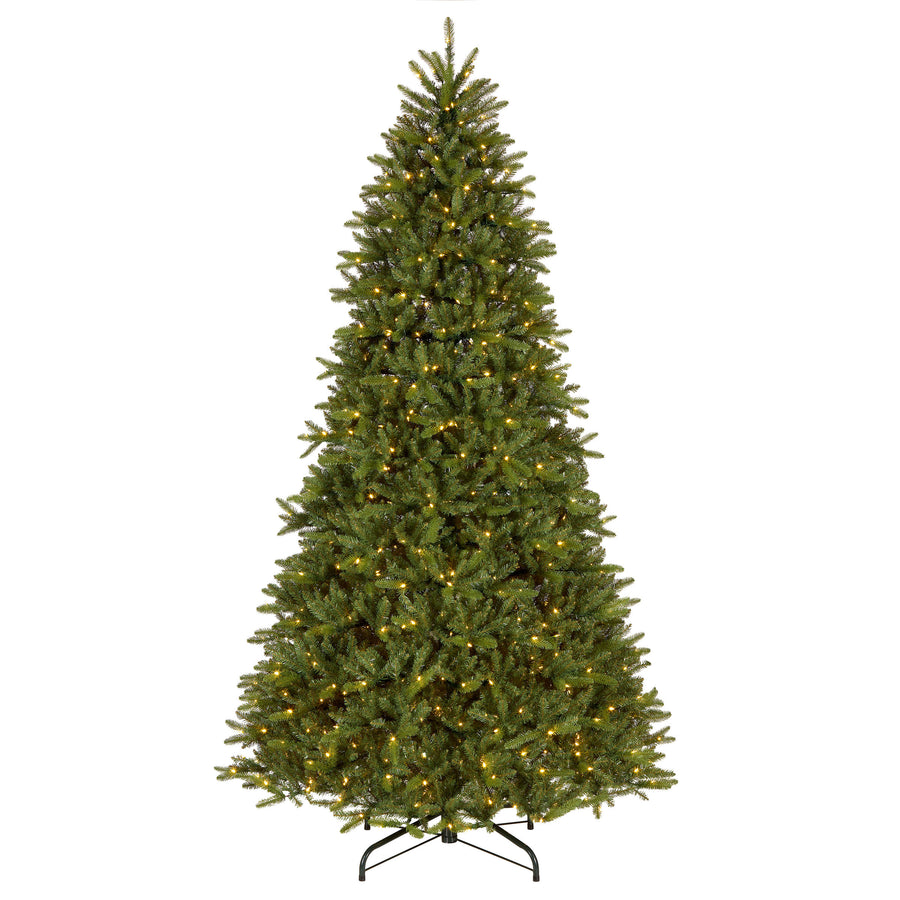 10 ft. Pre-Lit Northvale Fir with Warm White LED Lights - National Tree Company