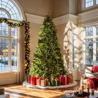 10 ft. Pre-Lit Northvale Fir with Warm White LED Lights - National Tree Company