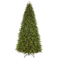 12 ft. Pre-Lit Northvale Fir with Warm White LED Lights - National Tree Company