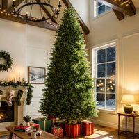 12 ft. Pre-Lit Northvale Fir with Warm White LED Lights - National Tree Company