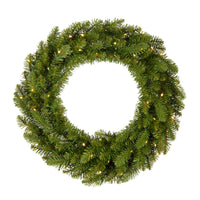 24 in. Pre-Lit Northvale Fir Wreath with Warm White LED Lights - National Tree Company