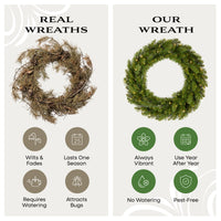 24 in. Pre-Lit Northvale Fir Wreath with Warm White LED Lights - National Tree Company