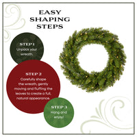 24 in. Pre-Lit Northvale Fir Wreath with Warm White LED Lights - National Tree Company
