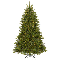 7.5 ft. Pre-Lit Northvale Fir with Warm White LED Lights - National Tree Company