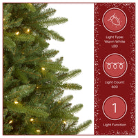 7.5 ft. Pre-Lit Northvale Fir with Warm White LED Lights - National Tree Company