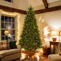 9 ft. Pre-Lit Northvale Fir with Warm White LED Lights - National Tree Company