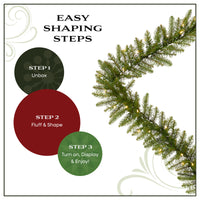 9 ft. Pre-Lit Northvale Fir Garland with Warm White LED Lights, Plug-in - National Tree Company