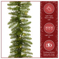 9 ft. Pre-Lit Northvale Fir Garland with Warm White LED Lights, Plug-in - National Tree Company
