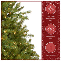 4 ft. Pre-Lit Dunhill Fir Hinged Tree with Warm White LED Lights, Plug-In - National Tree Company