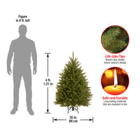 4 ft. Dunhill Fir Tree - National Tree Company