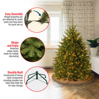 4.5 ft. Pre-Lit Dunhill Fir Tree with Clear Lights - National Tree Company